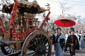 Kaga-Shinmeigu Cherry Tree Festival
