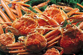 Snow Crabs